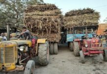 प्रशासन के नाक के नीचे से गुजर रहे है ओवरलोड गन्ने से भरी ट्रक और ट्रालियां