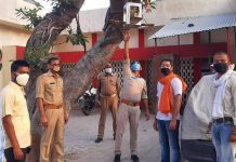 सिकंदराराऊ : अखिल भारतीय विद्यार्थी परिषद द्वारा बेजुबान पशु पक्षियों के लिए दाना और पानी रखने का अभियान चलाया गया