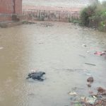 WhatsApp Image 2020-06-25 at 11.33.12 AM