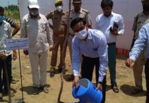 हाथरस : राहत आयुक्त एवं जिलाधिकारी ने किया वृक्षारोपण