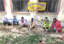 अतरौली के राजकीय कन्या इंटर कॉलेज में वृक्षारोपण का कार्यक्रम हुआ