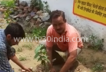 सहपऊ : भाजपा पिछड़ा वर्ग मोर्चा के जिला अध्य्क्ष ने जूनियर स्कूल में किया पौधरोपण,