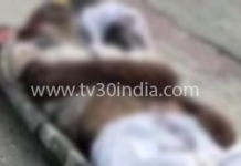 सहपऊ : जलेसर रोड रेलवे स्टेशन पर अज्ञात वृद्ध का शव मिलने से फैली सनसनी