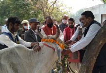 सासनी : गौसेवा की जिद पर मां यशोदा भी हार गई भगवान श्री कृष्ण से-विधायक