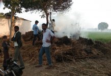 हाथरस जनपद मुरसान क्षेत्र गांव उदयभान में आग लगने से बाजरे की करब जलकर हुई राख