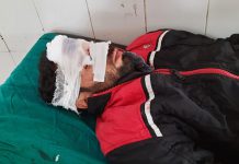 हाथरस : डीसीएम व ट्रक भिड़े दो घायल