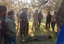 सासनी : अज्ञात कारणों के चलते युवक ने लगाई फांसी