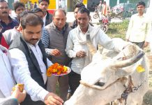 सासनी : भाजपा सासनी मंडलाध्यक्ष ने पशु आरोग्य मेला में किया गौपूजन