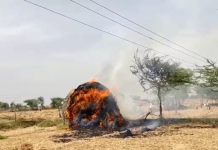 हाथरस : हाईटेंशन विधुत लाइन में हुए शॉर्ट सर्किट के चलते भूस की बुज्जी में लगी भीषण आग