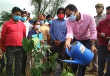 हाथरस : करबन नदी में सिल्ट की सफाई कार्य तथा डोलबंदी का जीर्णोद्धार कार्य का शुभारंभ जिलाधिकारी रमेश रंजन ने पीपल का वृक्ष लगाकर किया