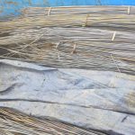 WhatsApp Image 2021-06-16 at 14.49.04 (2)