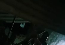 सादाबाद : तेज आंधी से टीन हुई क्षतिग्रस्त, परिवार हुआ बेघर