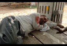 सादाबाद : अज्ञात वाहन ने बाइक सवार को मारी टक्कर