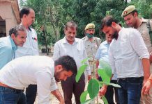 हाथरस : कलेक्ट्रेट सभागार परिसर में किया वृक्षारोपण