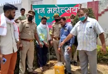सादाबाद में वन महोत्सव के अंतर्गत पत्रकारों ने लगाए पौधे