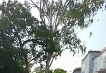 सहपऊ : सहपऊ कोतवाली में कोतवाली प्रभारी ने किया ध्वजारोहण मौजूदा पुलिस कर्मियों को दिलवाई देश की एकता और अखंडता की शपथ