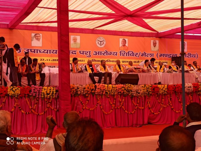 WhatsApp Image 2021-11-27 at 21.04.59