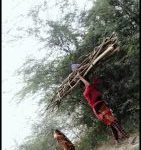 WhatsApp Image 2021-12-14 at 18.30.39