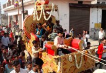 सिकंदराराऊ : गांव में पिल्लों का नामकरण संस्कार रहा चर्चा का विषय