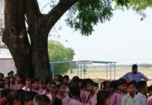 सादाबाद क्षेत्र के गांव कजरोटी में स्कूल चलो अभियान के तहत बच्चों द्वारा रैली निकाली गई