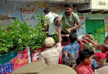 पुर्दिल नगर : धूमधाम से निकाली गई पौधे बारात