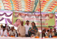 सिकंदराराऊ : वृक्षों के लग जाने से अमृत सरोवर एवं जिला पंचायत की सडकें हरीभरी रहेंगी: सीमा उपाध्याय