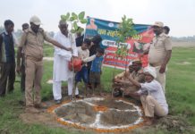 सिकंदराराऊ : वन महोत्सव सप्ताह के अंतर्गत गांव मथुरापुर में किया गया वृक्षारोपण