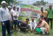 हसायन : नगर पंचायत कार्यालय प्रांगण में वृक्षारोपण हुआ