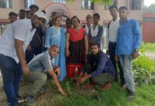 सिकंदराराऊ : महाराणा प्रताप राजकीय स्नातकोत्तर महाविद्यालय में हुआ वृक्षारोपण एवं सड़क सुरक्षा जागरूकता कार्यक्रम का आयोजन