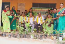 सिकंदराराऊ : नव हरीतिमा स्वच्छ हवा ,हरित समृद्धि धरामेगा मेडिसिनल ट्री प्लांटेशन