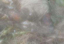 सिकंदराराऊ के अगसौली गांव में नाले में मिला अज्ञात महिला का क्षत-विक्षत शव, इलाके में फैली सनसनी