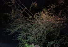 मुरसान : आंधी से बिजली व्यवस्था ध्वस्त, कई गांवों में घंटों गुल रही सप्लाई, टूटे बिजली के खंभे