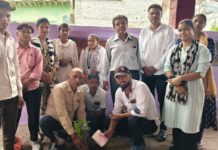 सिकंदराराऊ के शिशु शिक्षा मंदिर में मनाया गया वन महोत्सव, विद्यार्थियों और शिक्षकों ने किया वृक्षारोपण