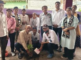 सिकंदराराऊ के शिशु शिक्षा मंदिर में मनाया गया वन महोत्सव, विद्यार्थियों और शिक्षकों ने किया वृक्षारोपण