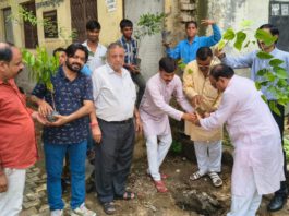 वृक्ष लगाने के साथ उनका संरक्षण करना हमारी सामूहिक जिम्मेदारी :आशीष सेंगर , श्री रामबाग इंटर कॉलेज में हुआ वृक्षारोपण