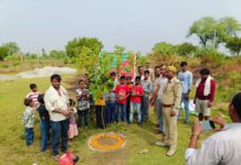 वन महोत्सव 2026: नोरथा-ईसेपुर लिंक मार्ग पर हुआ वृक्षारोपण, ग्रामीणों और बच्चों को वितरित किए गए पौधे