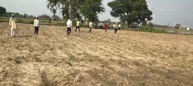 hgf