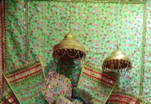 हाथरस : श्री रेवती मईया मेला का भव्य समापन, संयोजकों का हुआ सम्मान
