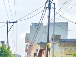 सिकंदराराऊ : शिशु शिक्षा मंदिर (पेड़ वाले स्कूल) के बच्चों ने निकाली भव्य तिरंगा रैली, देशभक्ति के नारों से गूंजा सिकंदराराऊ