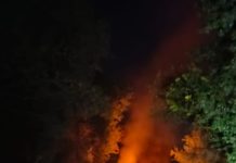 सादाबाद : ट्रैक्टर और मैक्स पिकअप की भिड़ंत के बाद लगी भीषण आग, दोनों वाहन जलकर राख