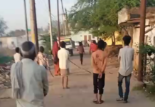 सादाबाद : कुत्ते को रस्सी से बांधकर पीटने का वीडियो वायरल, मौत का आरोप; पुलिस ने शुरू की जांच